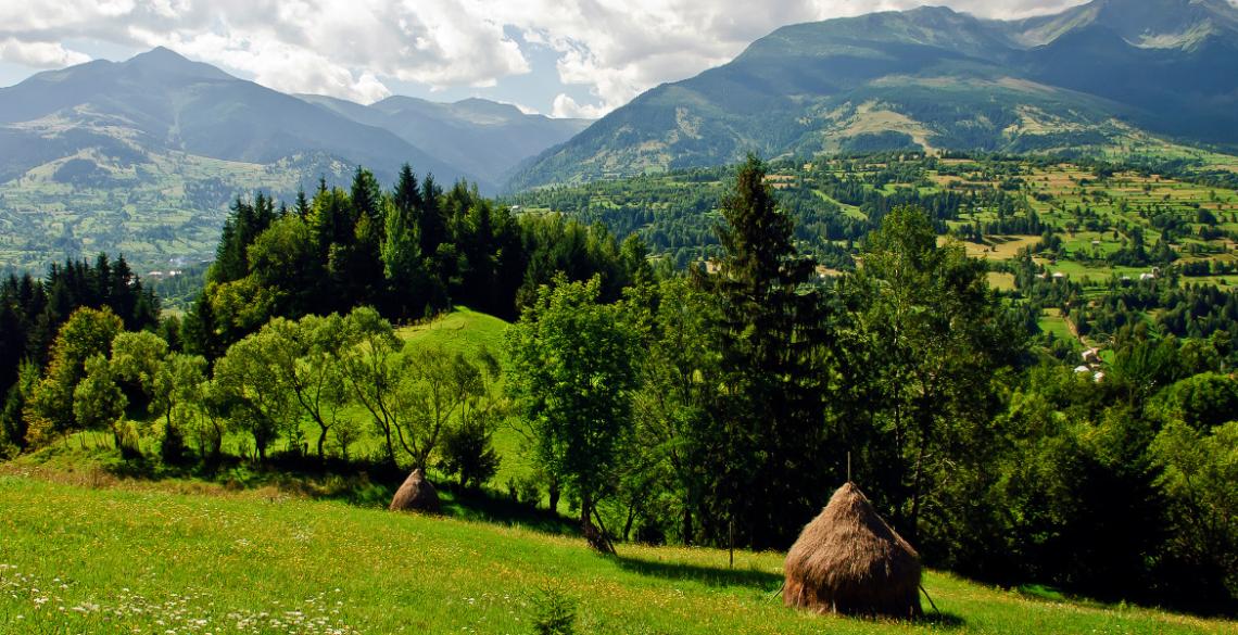 Bucovina